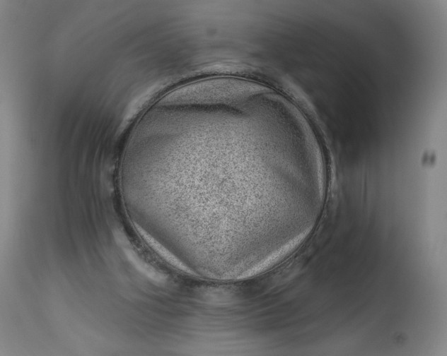 X0000112920106200909080943