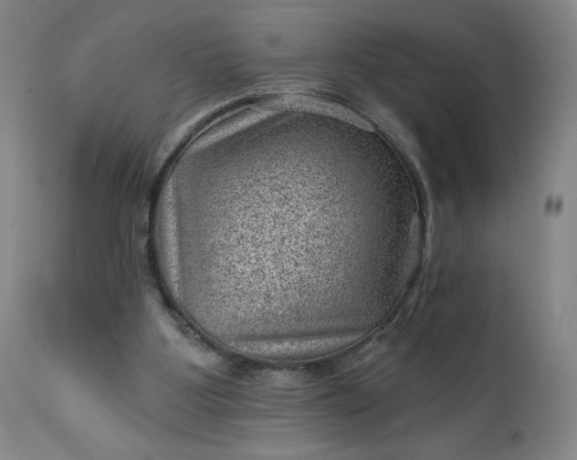 X0000112920107200909080943