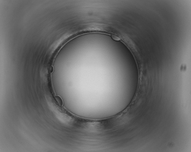 X0000112920108200909080943