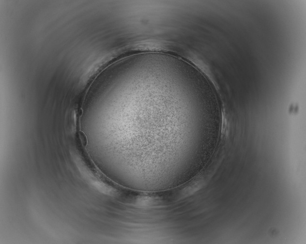 X0000112920109200909080943