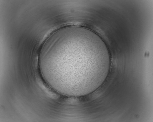 X0000112920110200909080943