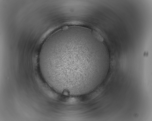 X0000112920111200909080943