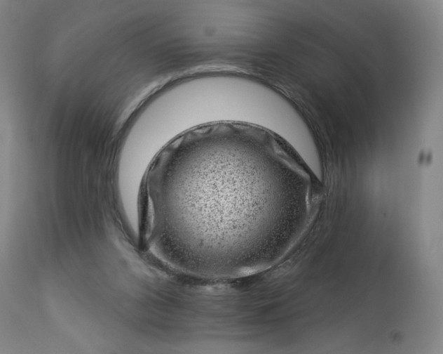 X0000112920112200909080943