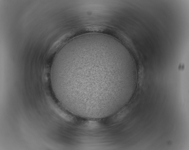 X0000112920114200909080943
