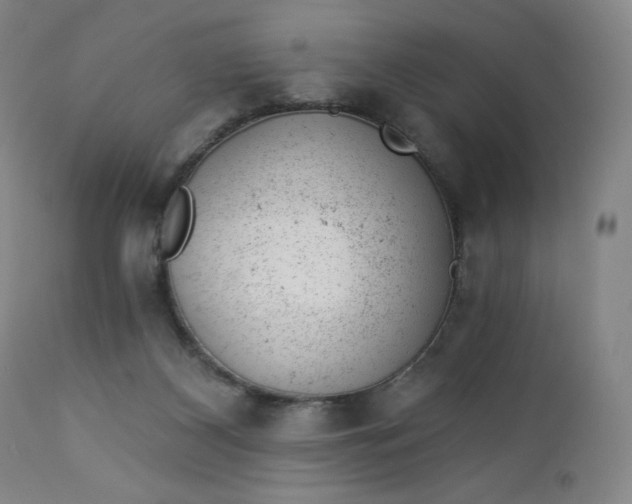 X0000112920116200909080943
