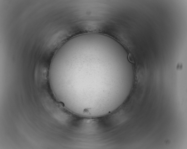 X0000112920117200909080943