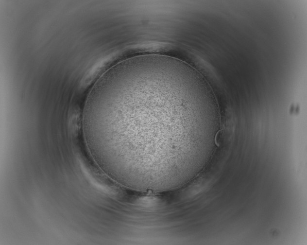 X0000112920119200909080943