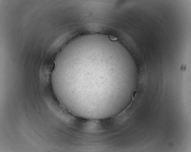X0000112920124200909080943