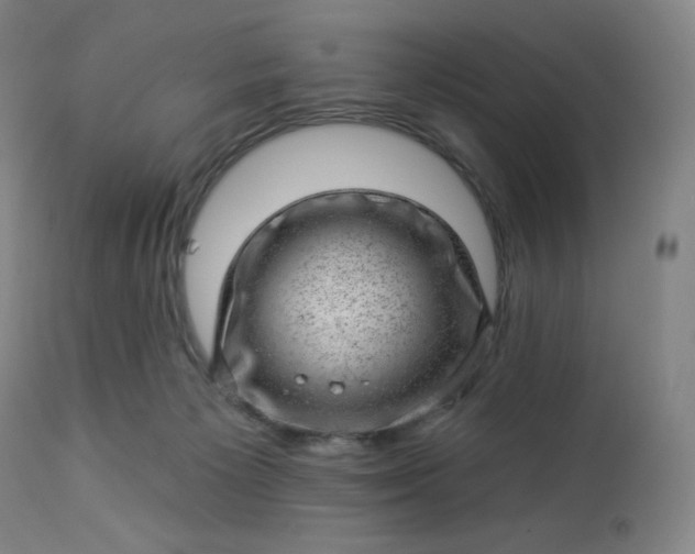 X0000112920125200909080943