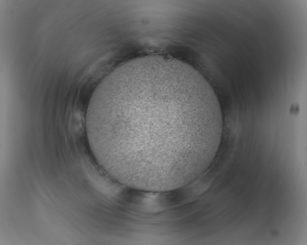 X0000112920130200909080942