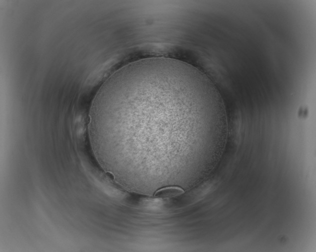 X0000112920131200909080942