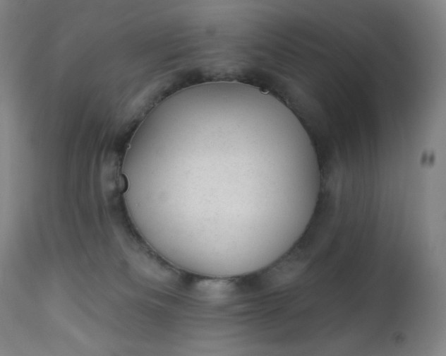 X0000112920133200909080942