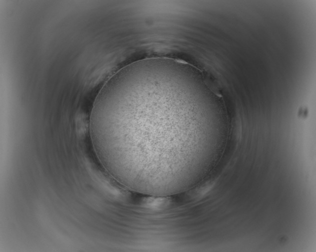 X0000112920135200909080942