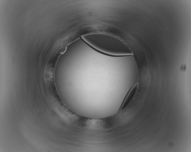 X0000112920137200909080942