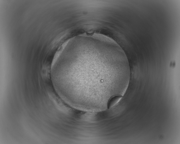 X0000112920138200909080942