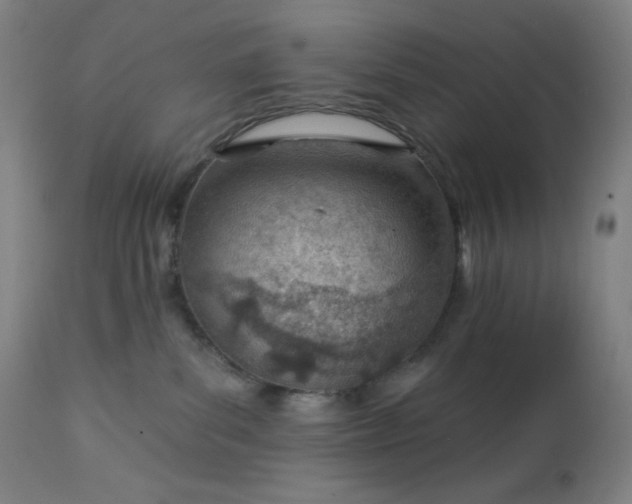 X0000112920139200909080942