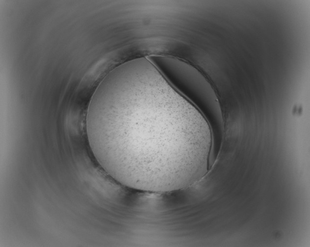 X0000112920140200909080942