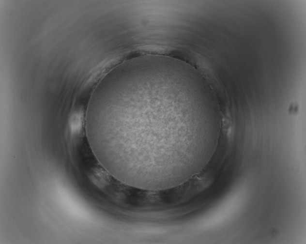 X0000112920143200909080942