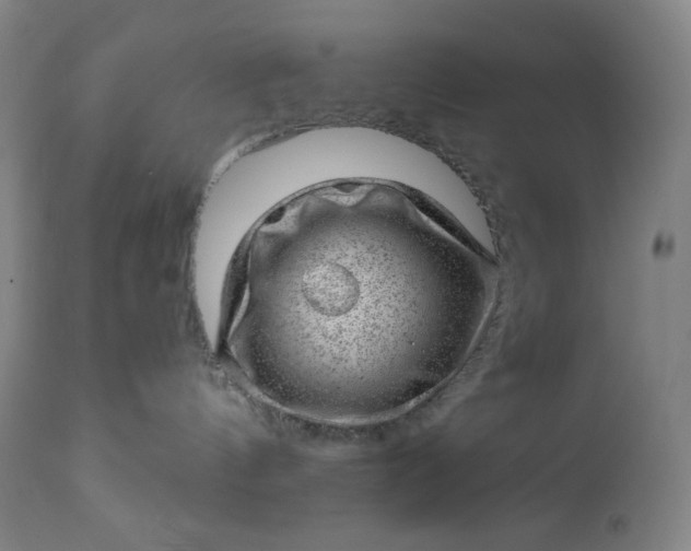 X0000112920144200909080942