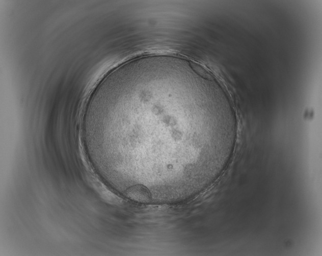 X0000112920145200909080942