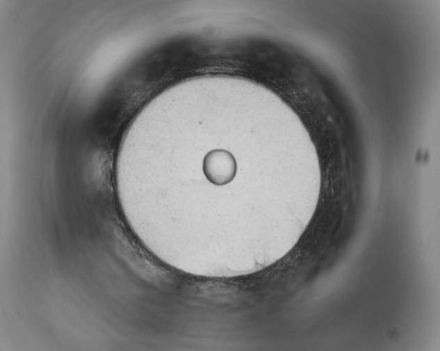 X0000112920146200909080942