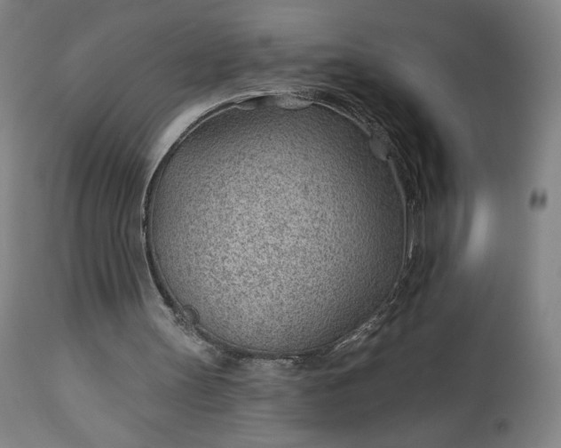 X0000112920147200909080942