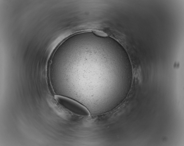 X0000112920148200909080942