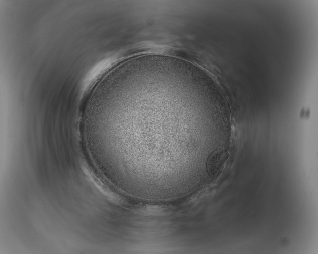 X0000112920149200909080942