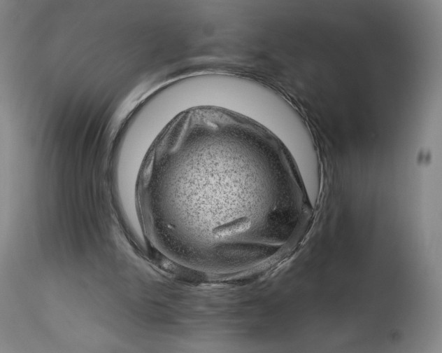 X0000112920150200909080942