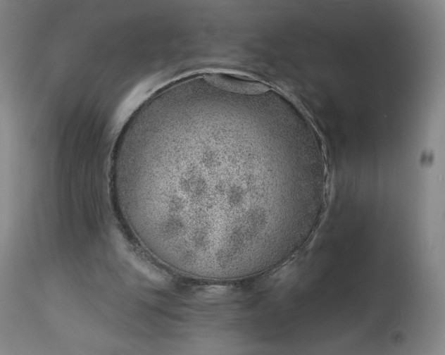 X0000112920151200909080942