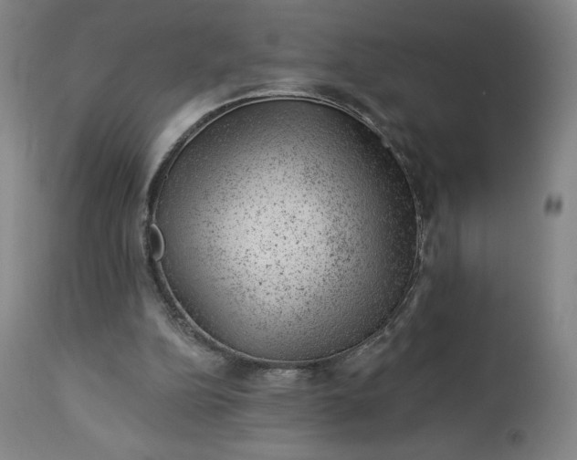 X0000112920152200909080942