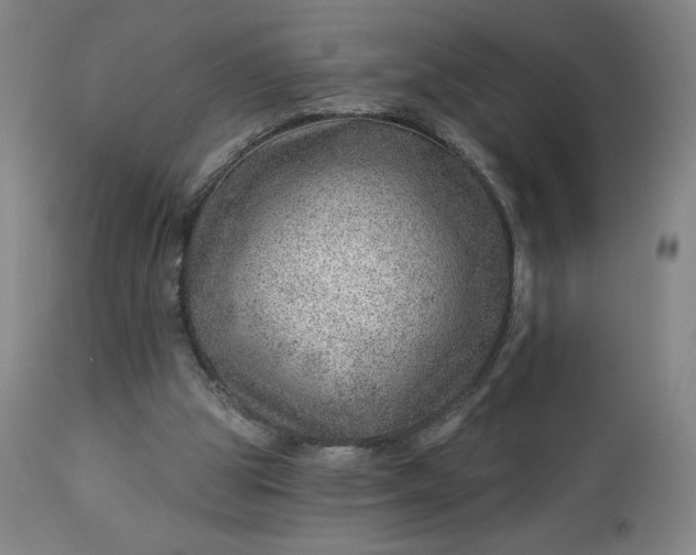 X0000112920153200909080942