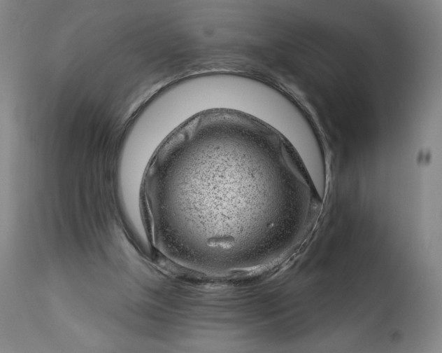X0000112920154200909080942