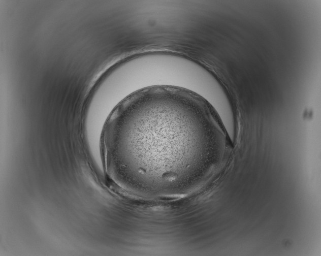 X0000112920156200909080942