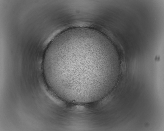 X0000112920159200909080942