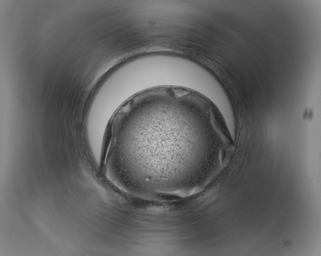 X0000112920160200909080942