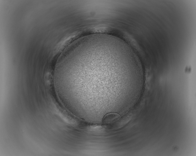 X0000112920161200909080942