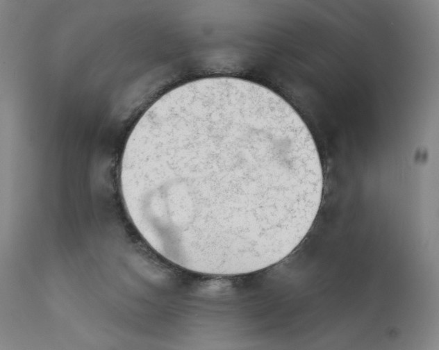 X0000112920162200909080942