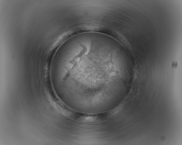 X0000112920163200909080942