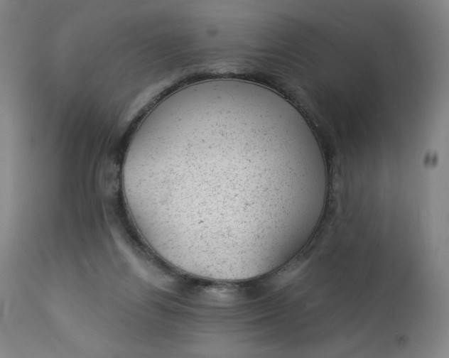 X0000112920164200909080942