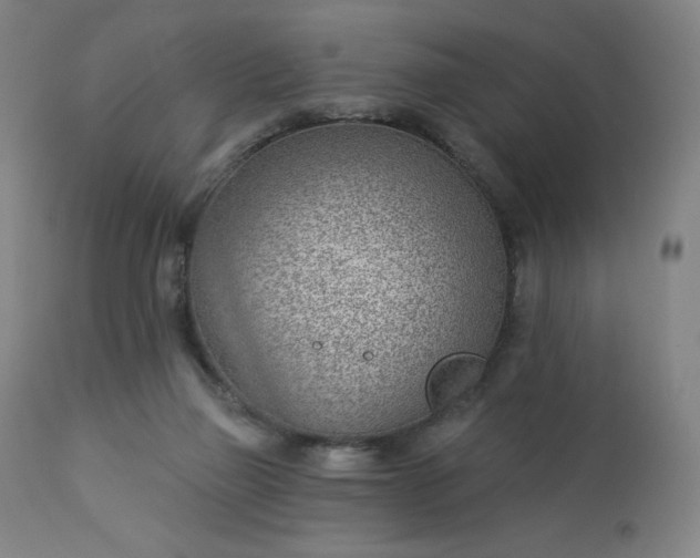 X0000112920165200909080942