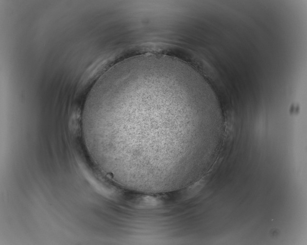 X0000112920166200909080942