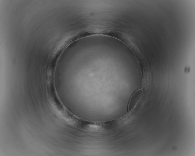 X0000112920167200909080942
