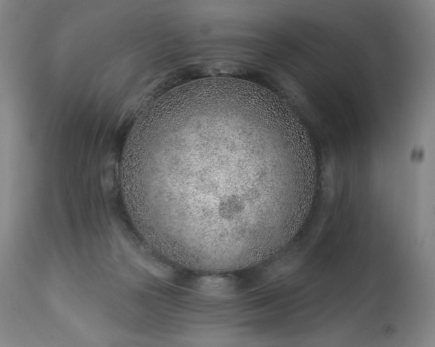 X0000112920169200909080942
