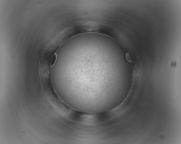 X0000112920170200909080942