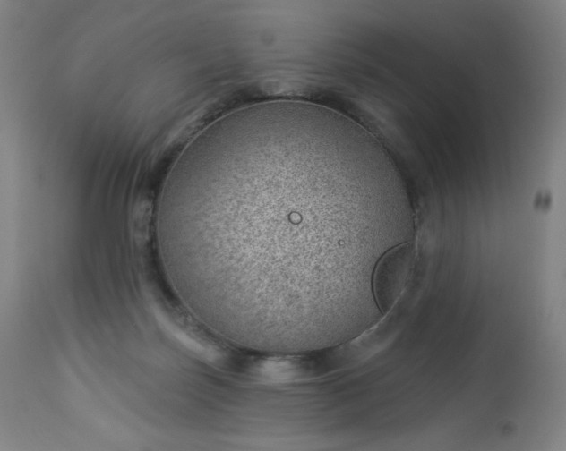 X0000112920171200909080942