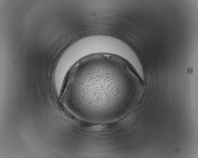 X0000112920172200909080942