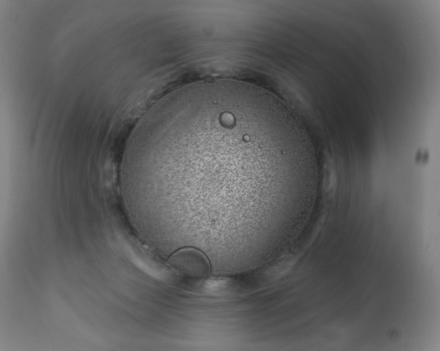 X0000112920173200909080942