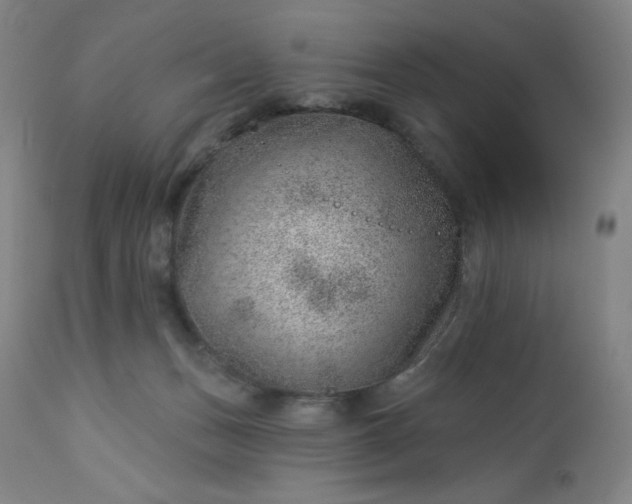 X0000112920175200909080942