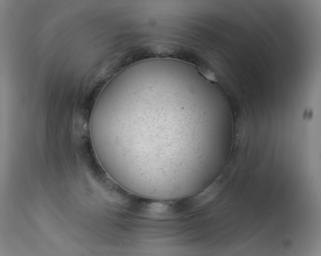 X0000112920176200909080942